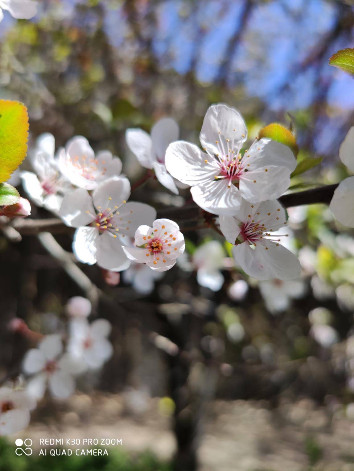 RedmiK30Pro发售价,redmik30pro128二手多少钱