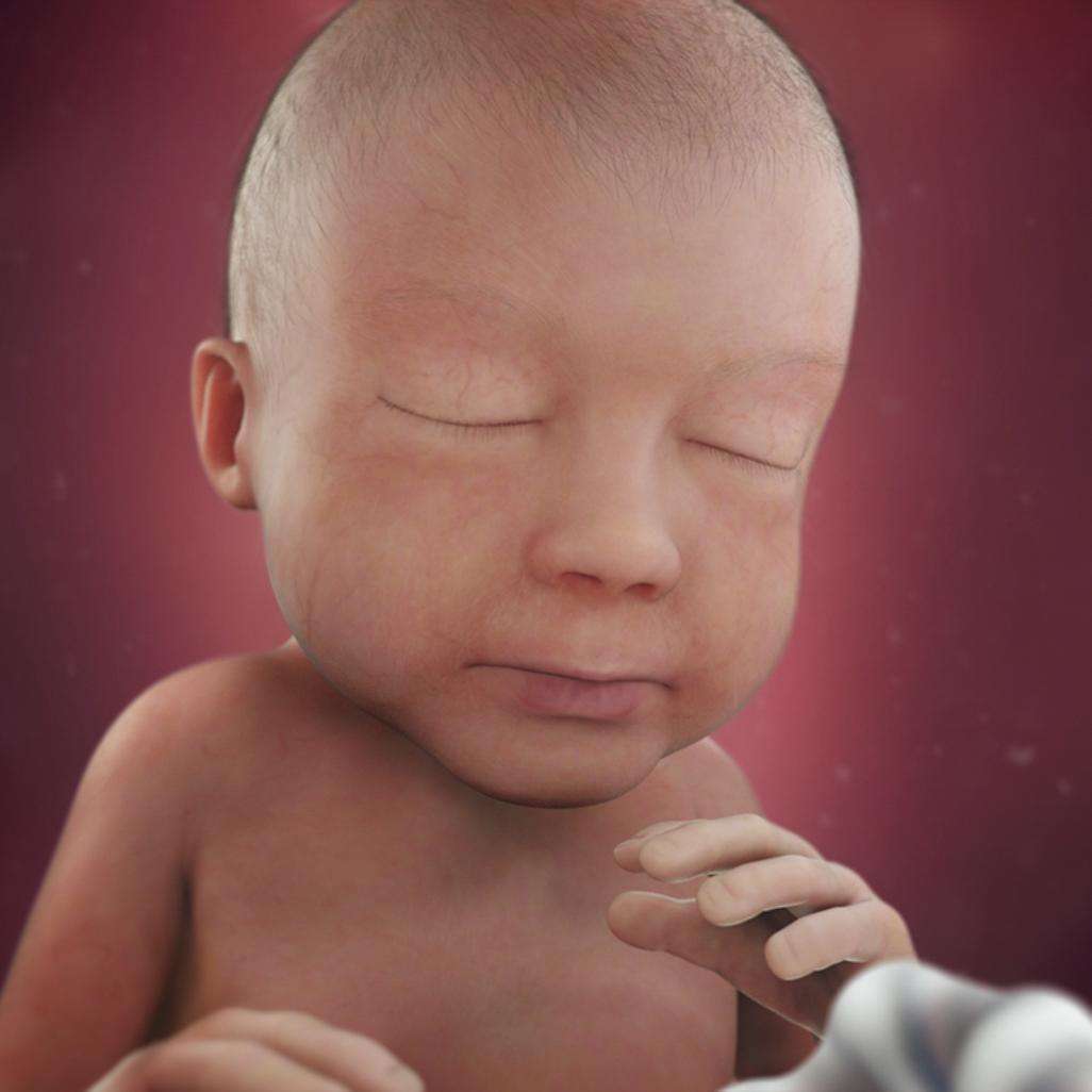 38周胎儿不长怎么办,38周到40周胎儿不长了