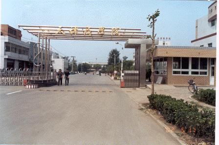 5000元起家草根股神每年赚200%,章建平做股票技巧