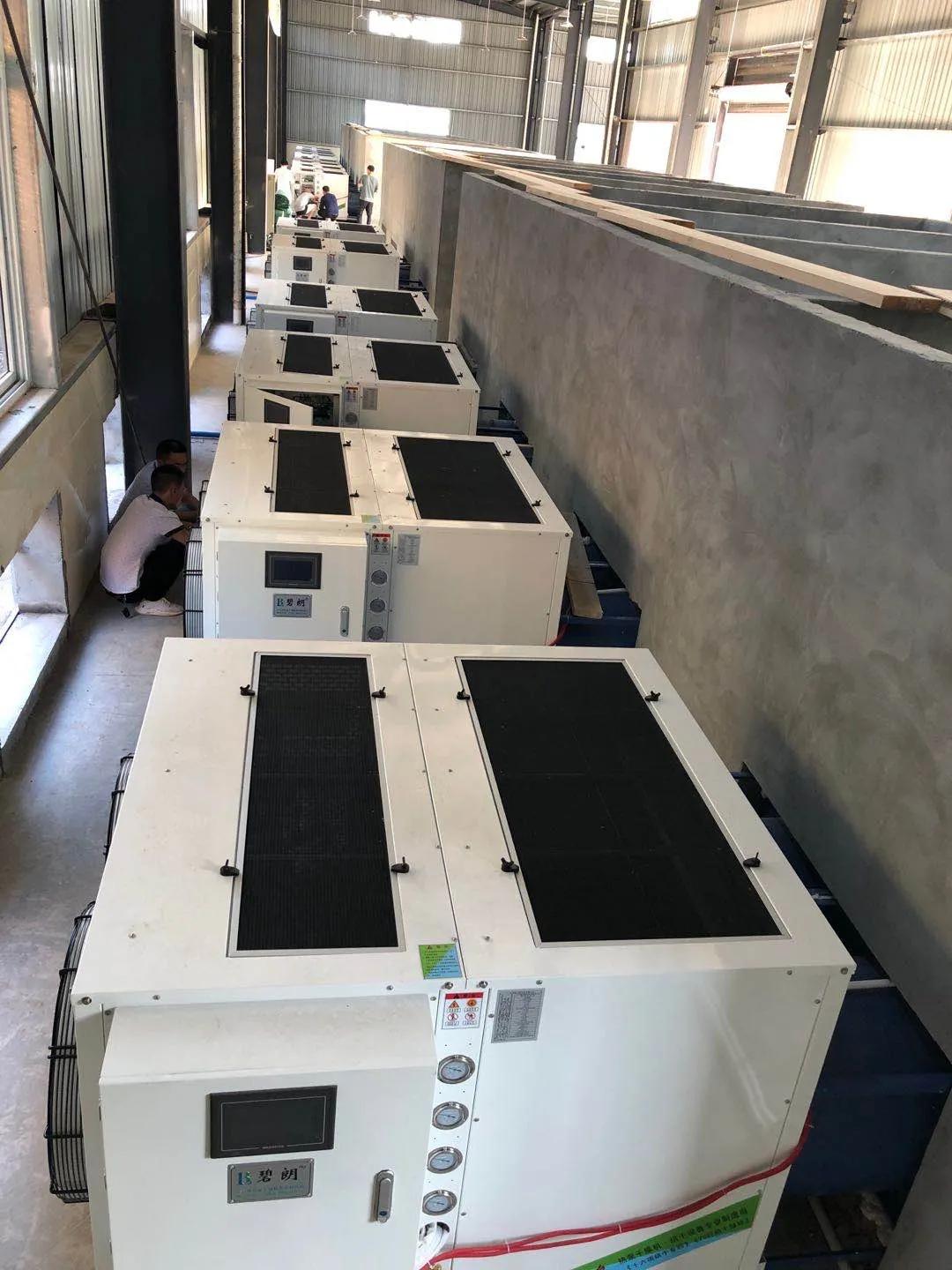 花椒种植加工,花椒的种植技术和种植前景