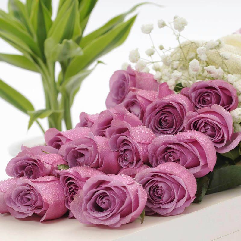 鲜花到了隔多久醒花最合适,刚收到的花蔫了怎么处理