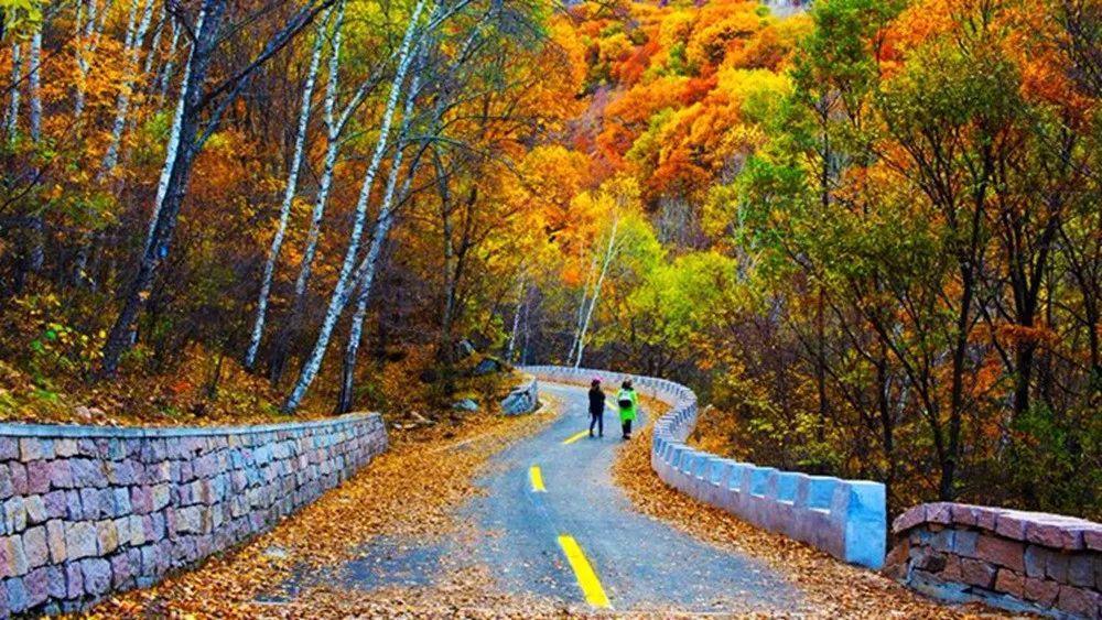 北京赏秋十大打卡地,北京赏秋