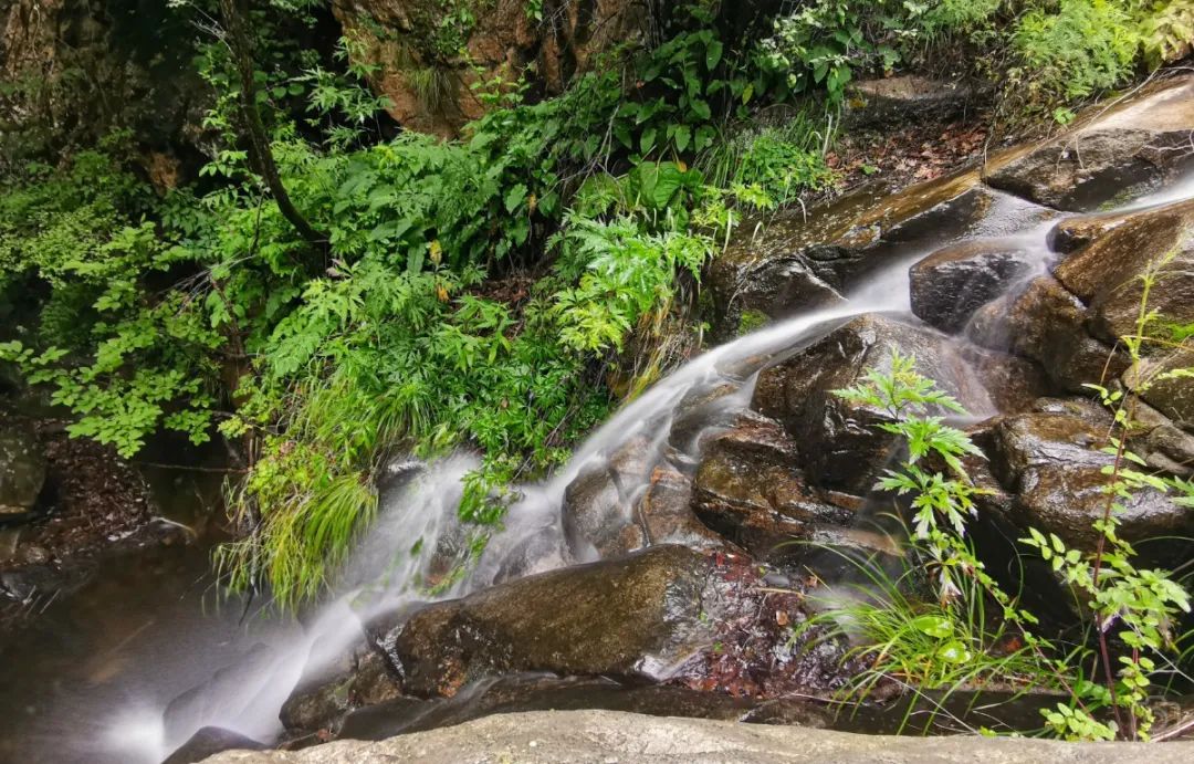 徒步穿越北驼梁完整版,穿越花海古道游记