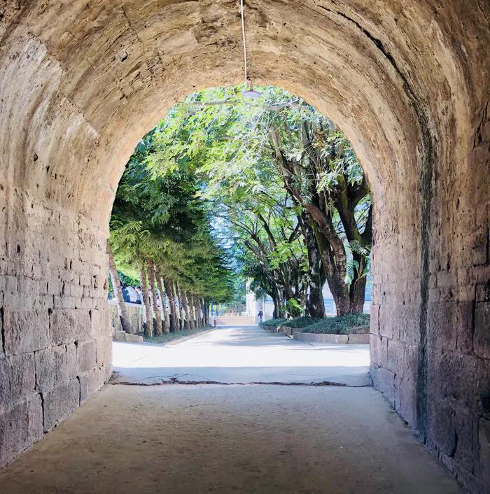 厉史文化璀璨的景东一中