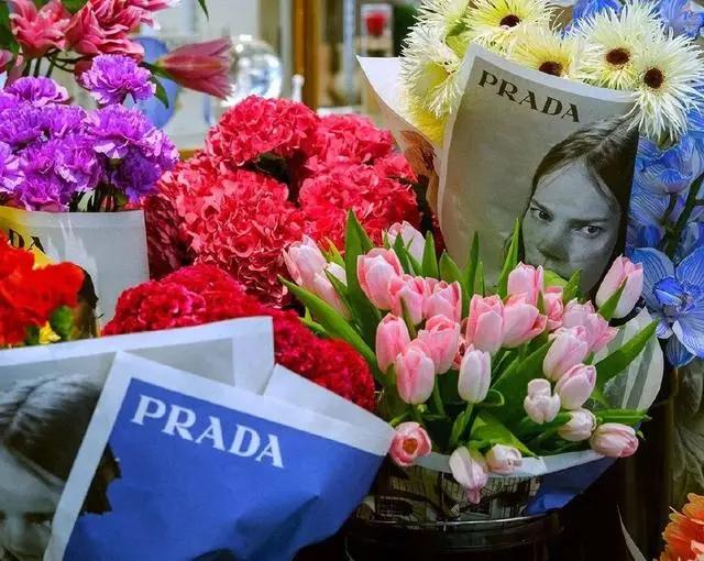 七夕玫瑰价格涨十倍,七夕玫瑰卖多少钱合适