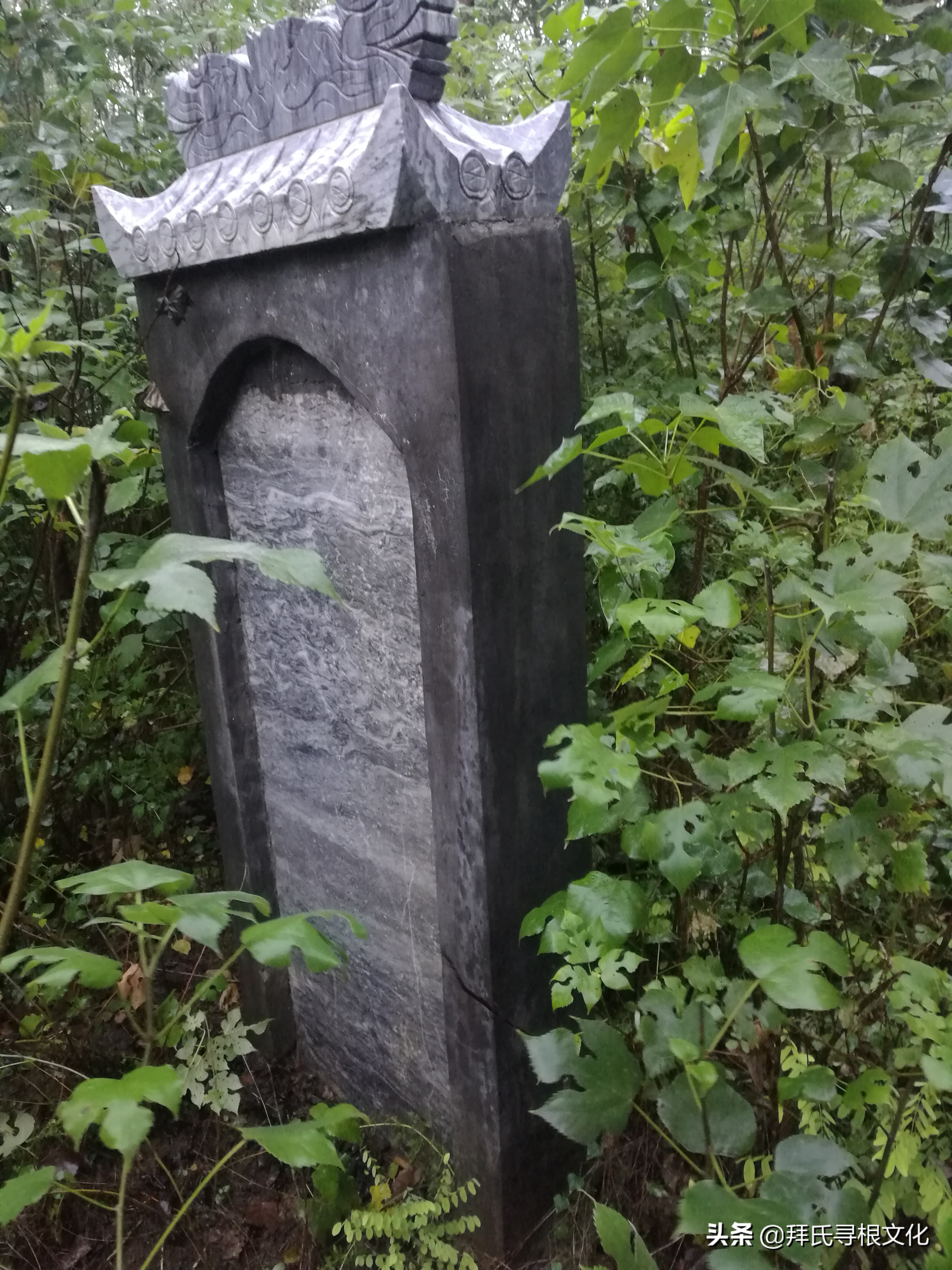 风雨泰和“转楼”