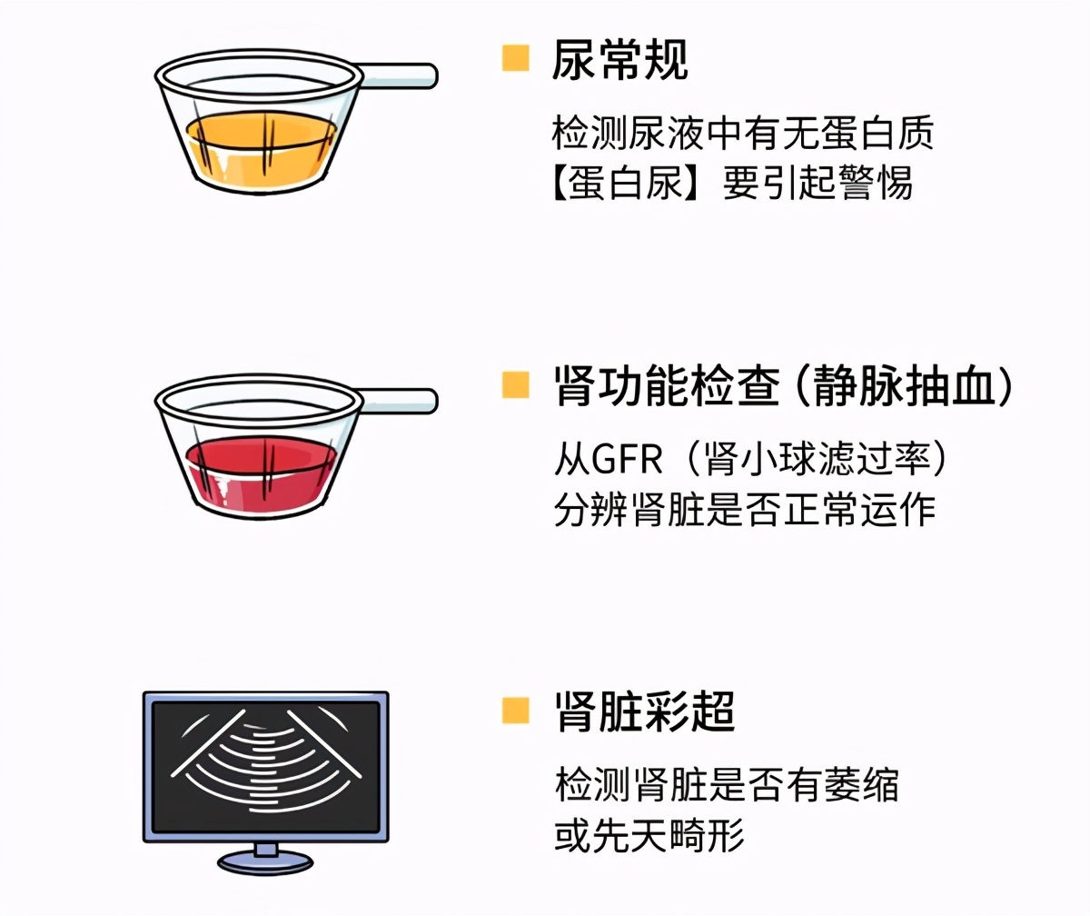 糖尿病肾脏疾病你真正了解吗,肾脏不容忽视
