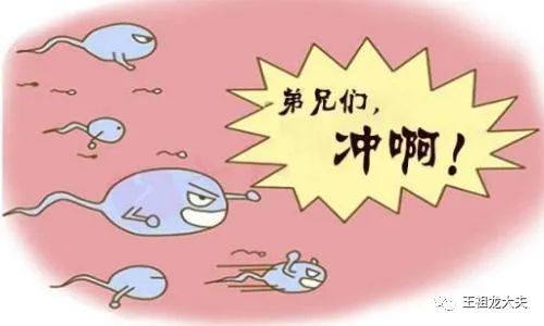 一篇文章让你秒懂,一篇文章让您读懂复刻表