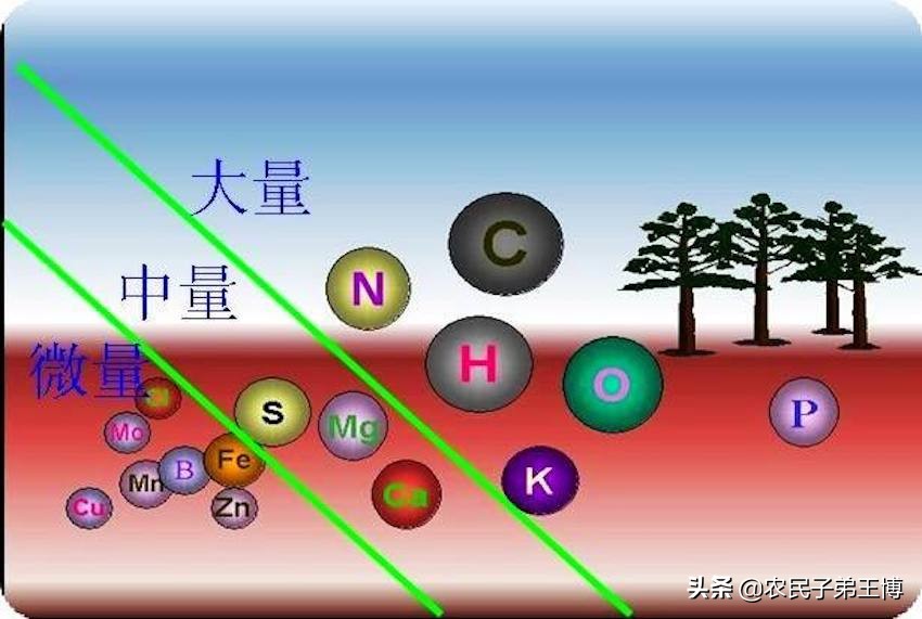 大姜种植施肥防病虫害技术,大姜高产的施肥配方是什么意思
