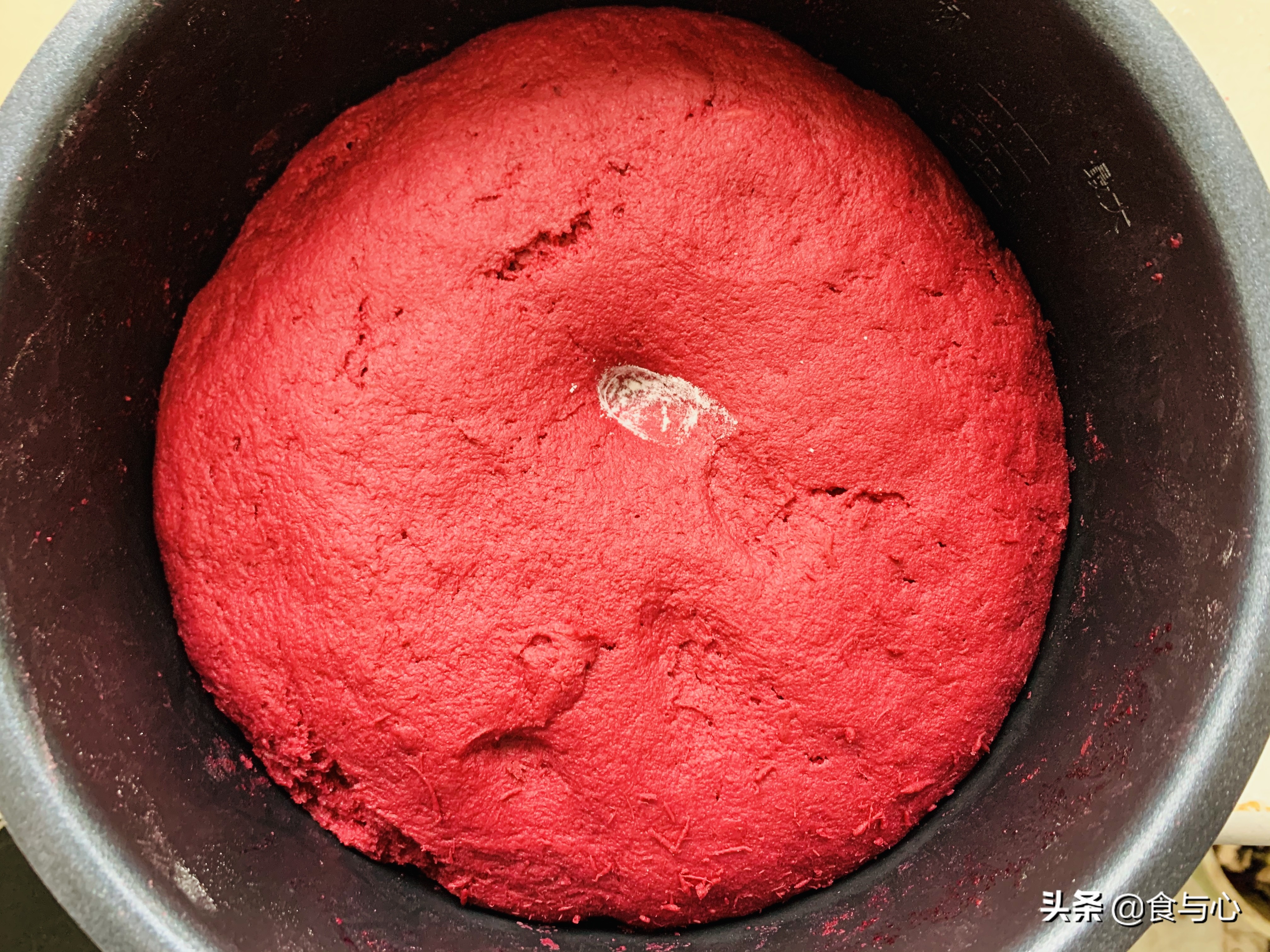 干酵母乳酸菌开花馒头做法,乳酸菌代替酵母做馒头