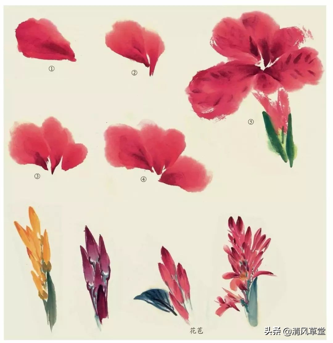 少儿国画花卉画法视频,各种花卉的100种画法