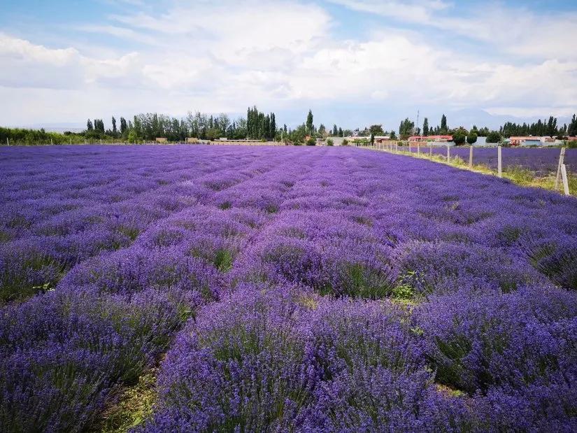 喀拉峻穿越琼库什台几天,喀拉峻穿越琼库什台