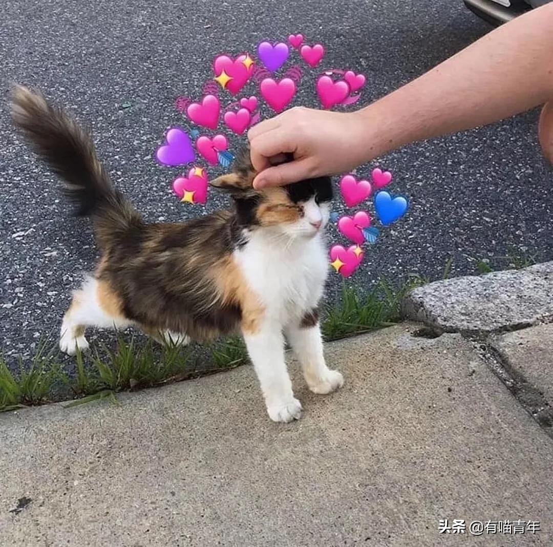 男子报警21岁喜当爹,男子喜当爹做了一件荒唐事