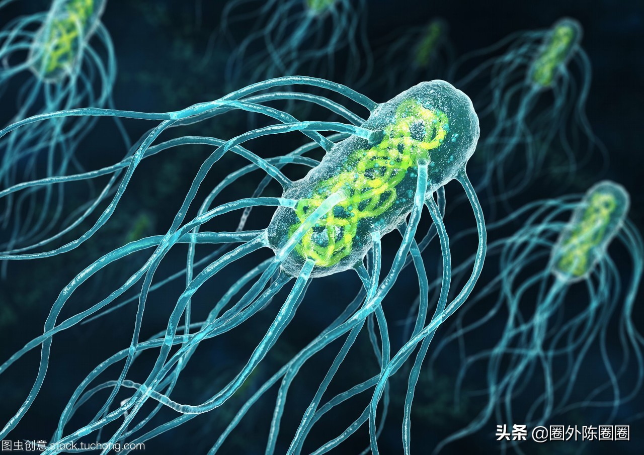 生活中有哪些常见凶险的致病菌,防控病原菌受到污染的措施主要有