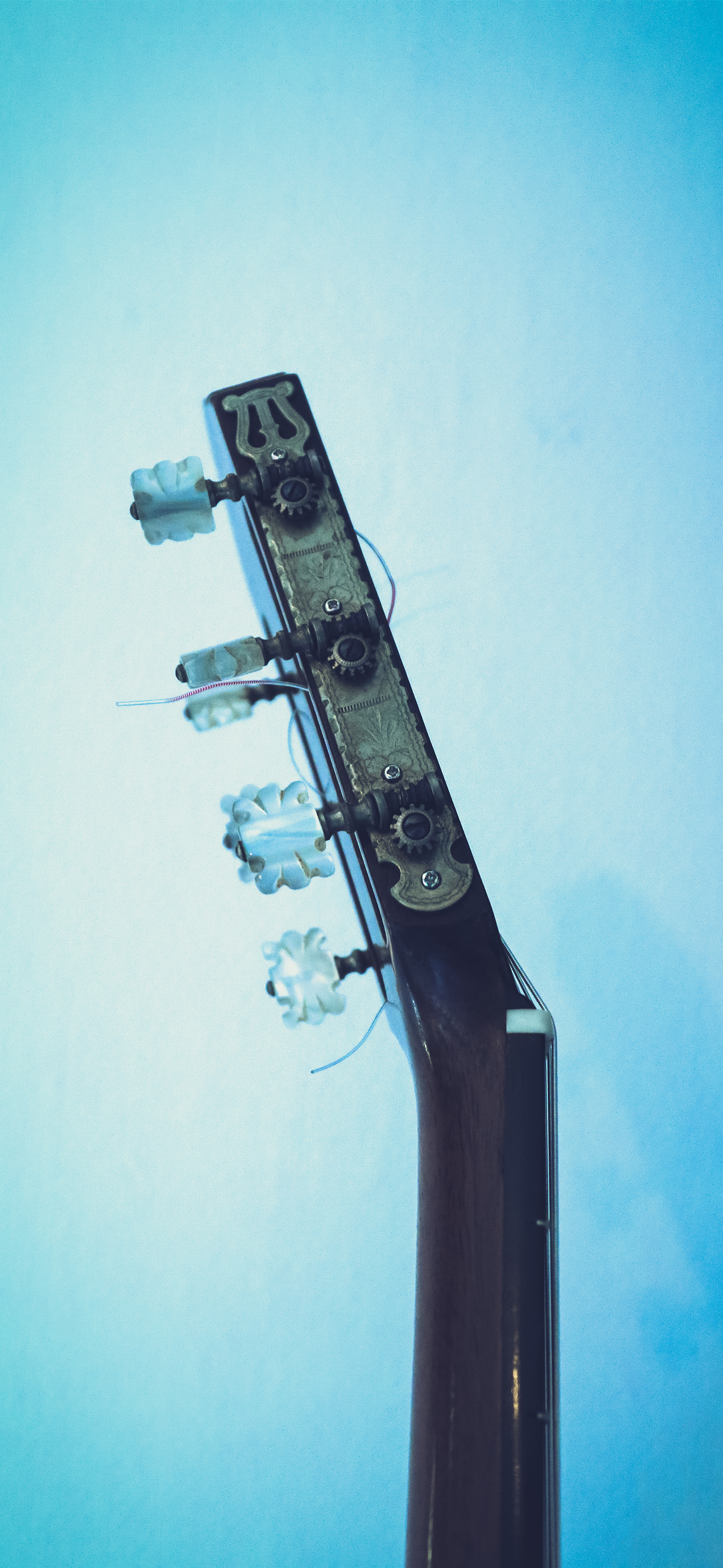 壁纸来了小说,壁纸来了梵高