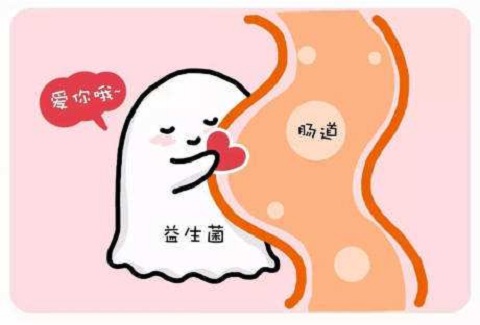 哪些牌子益生菌含鼠李糖乳杆菌,什么益生菌含鼠李糖乳杆菌