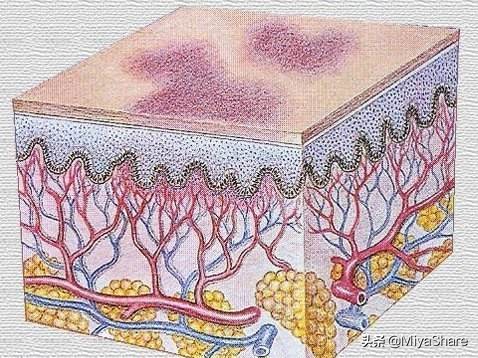 外油内干深层清洁,皮肤外油内干用什么洁面