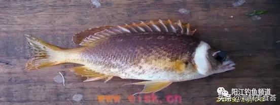 中国本土最便宜的鱼10种,哪些鱼档次又高又便宜