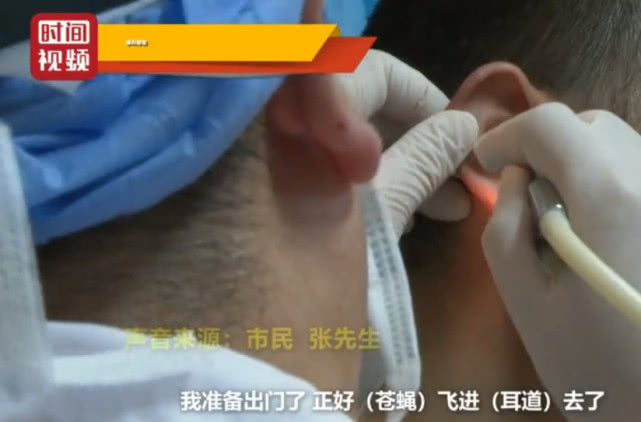 苍蝇飞进耳朵里有什么办法,苍蝇飞进耳朵去医院取出来过程