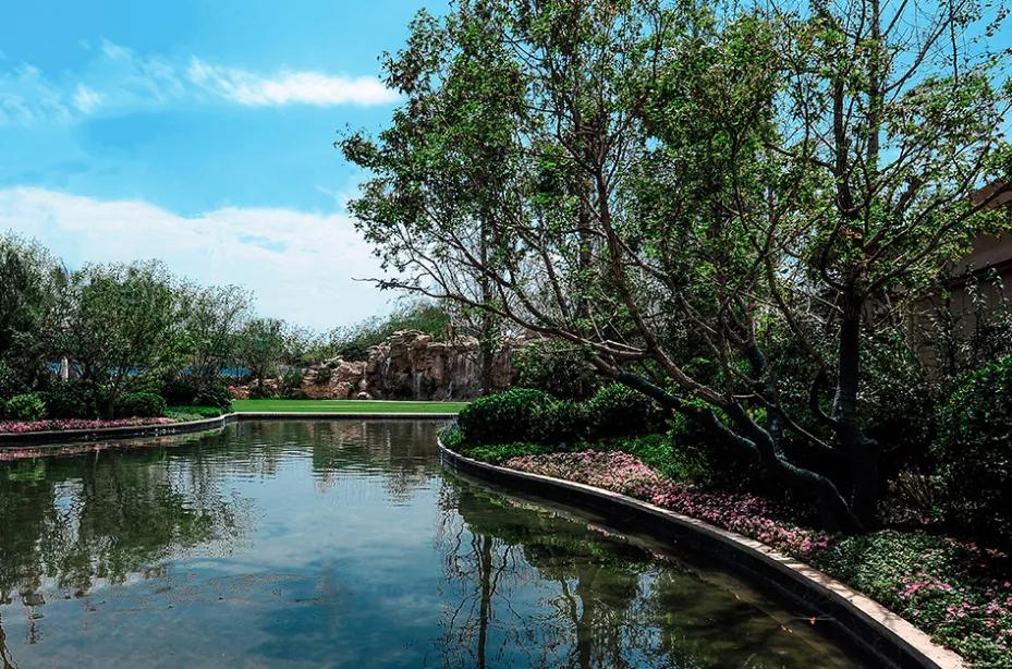 天山集团的宜居进化论