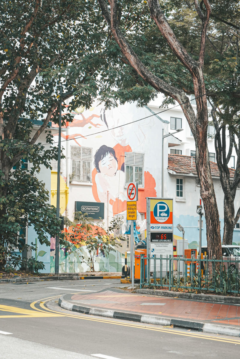 一人一猫环游,一人一猫旅行