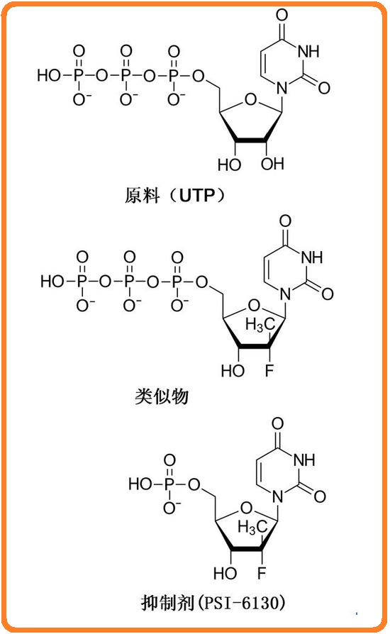 详细解说诺贝尔生理学或医学奖,近五年诺贝尔生理学或医学奖评述