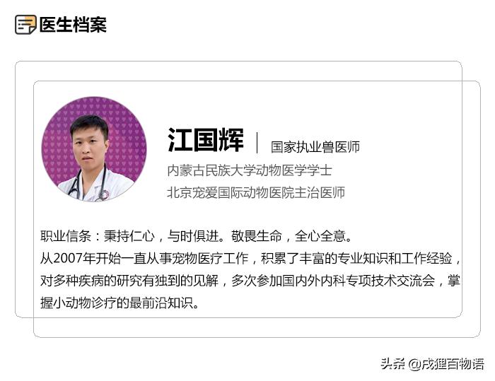 泰迪前腿骨折能自愈吗,泰迪骨折自愈方法图片