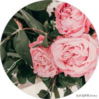 挽回分手男朋友的最佳方法,跟男朋友吵架闹分手怎么挽回