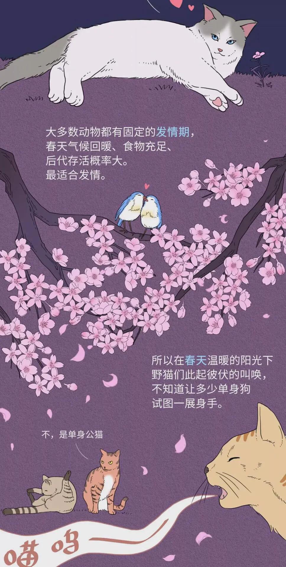 为什么人类365天总想着啪啪啪？？致那些全年无休的有趣年轻人