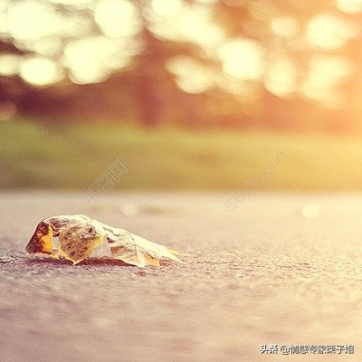 情感咨询｜栗子姐每日情感问答（0306）