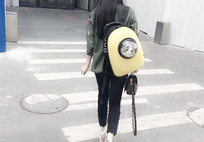 怎样的猫包最适合猫咪,猫猫应该用什么样的猫包