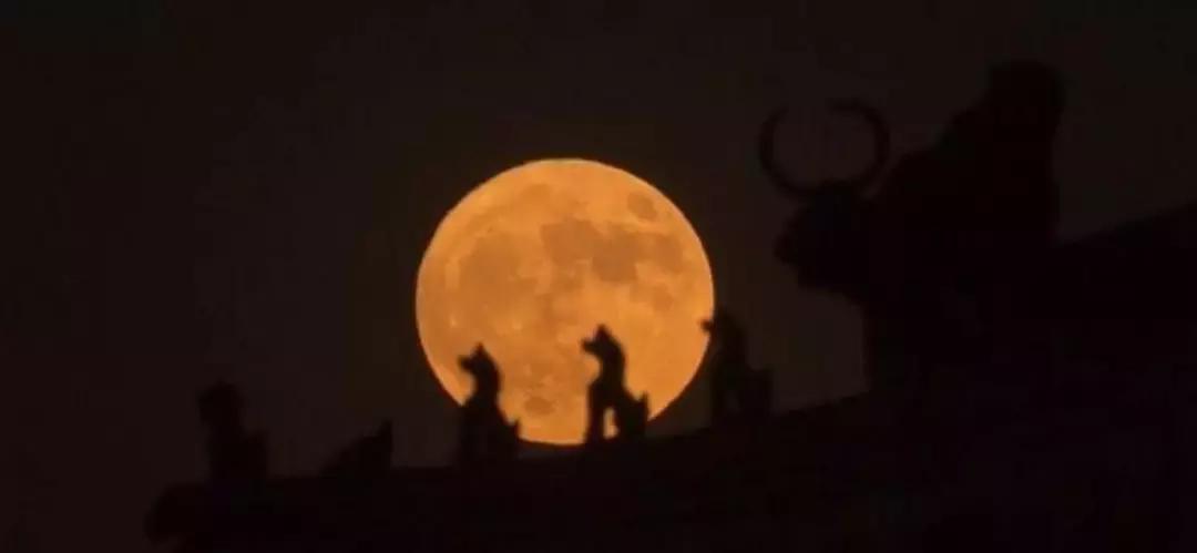 龙角散和京都念慈庵哪个好,龙角散与京都念慈庵谁好用