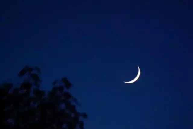 相思是一种美丽的缘分,相思是一种温馨的句子