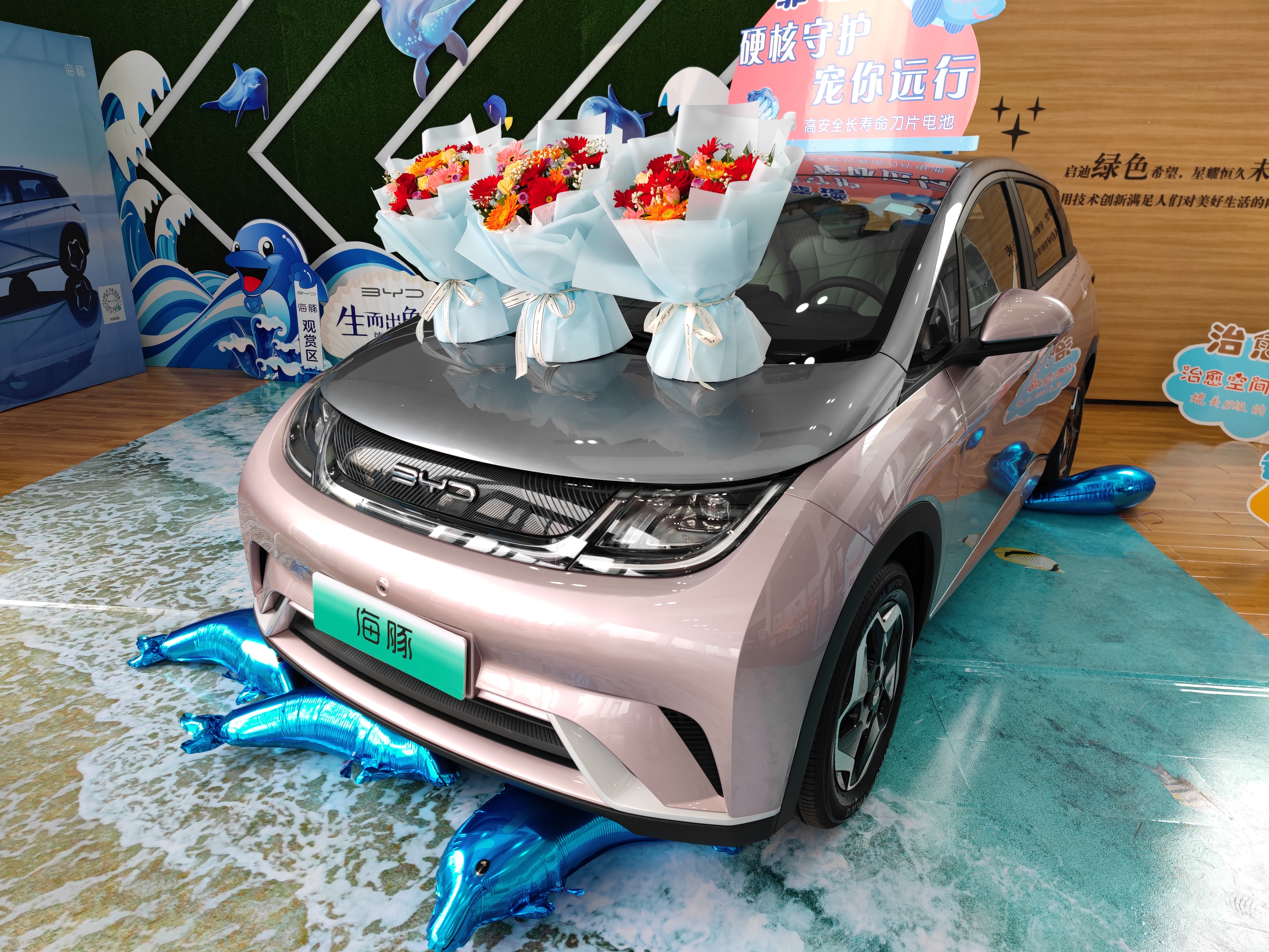 比亚迪海豚临沂盛世鑫源,临沂盛世鑫源年会盛典