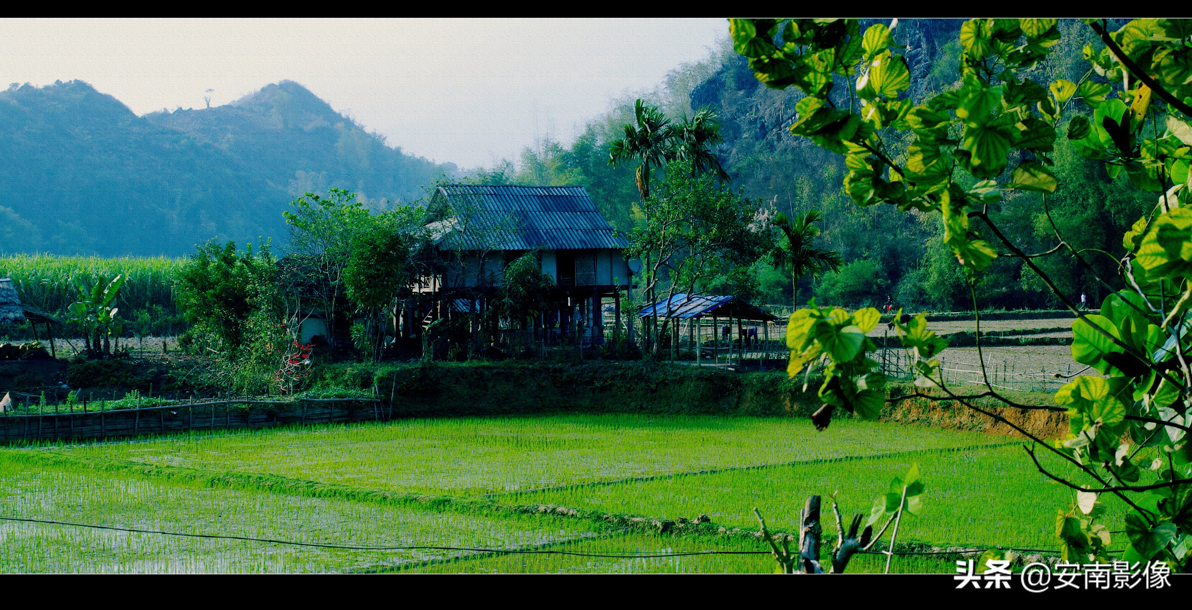 越南/西北/梅州Maichau/睦州Mocchau