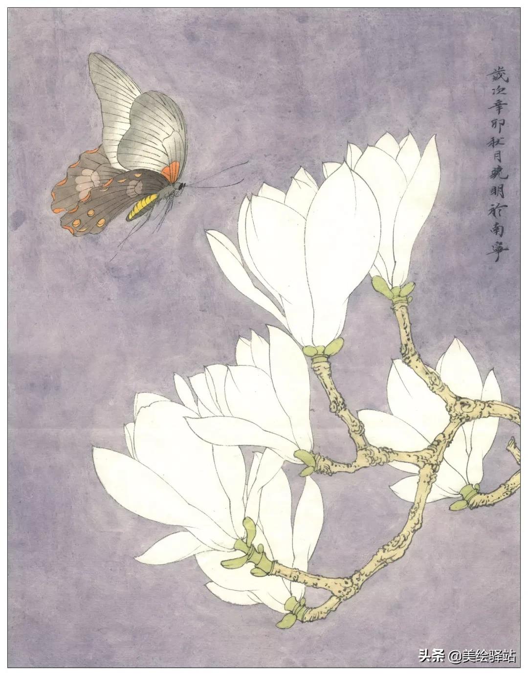 「教程」李晓明《玉兰蝴蝶》绘制步骤