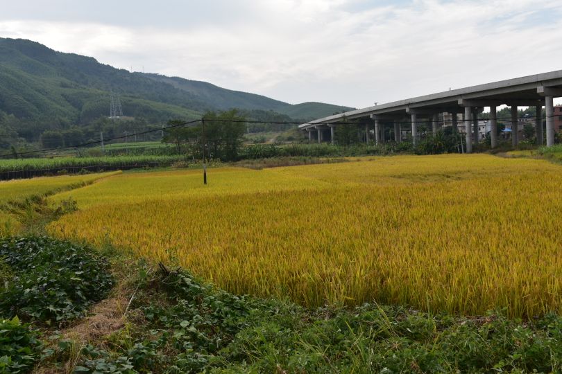 广州到粤北自驾游攻略,粤北自驾游