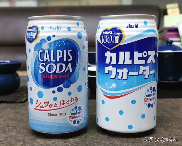 日本十大好喝汽水排行榜,夏天就要喝橘子味汽水