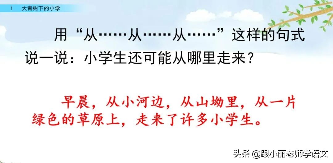 大青树下的小学重点知识点,大青树下的小学重点知识梳理