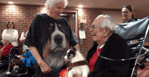 93岁奶奶恶搞27岁孙子一夜爆红！1300万网友实力围观：奶奶太坑了