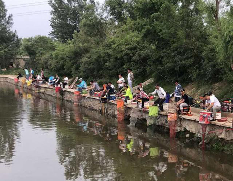 为什么黑坑禁用红虫,为什么很多黑坑禁红虫