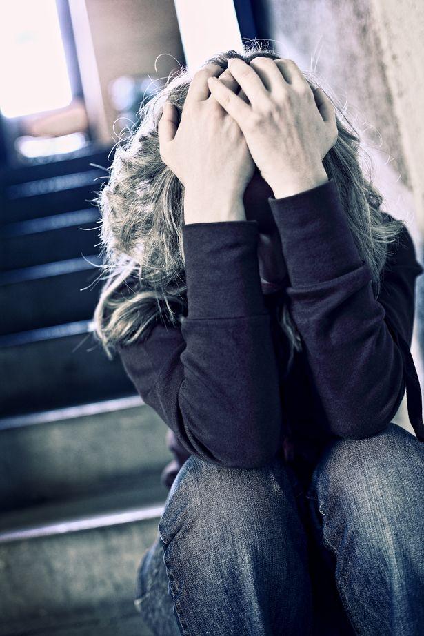 俄罗斯女子在家被20只猫吃掉,俄罗斯猫咪被救出来