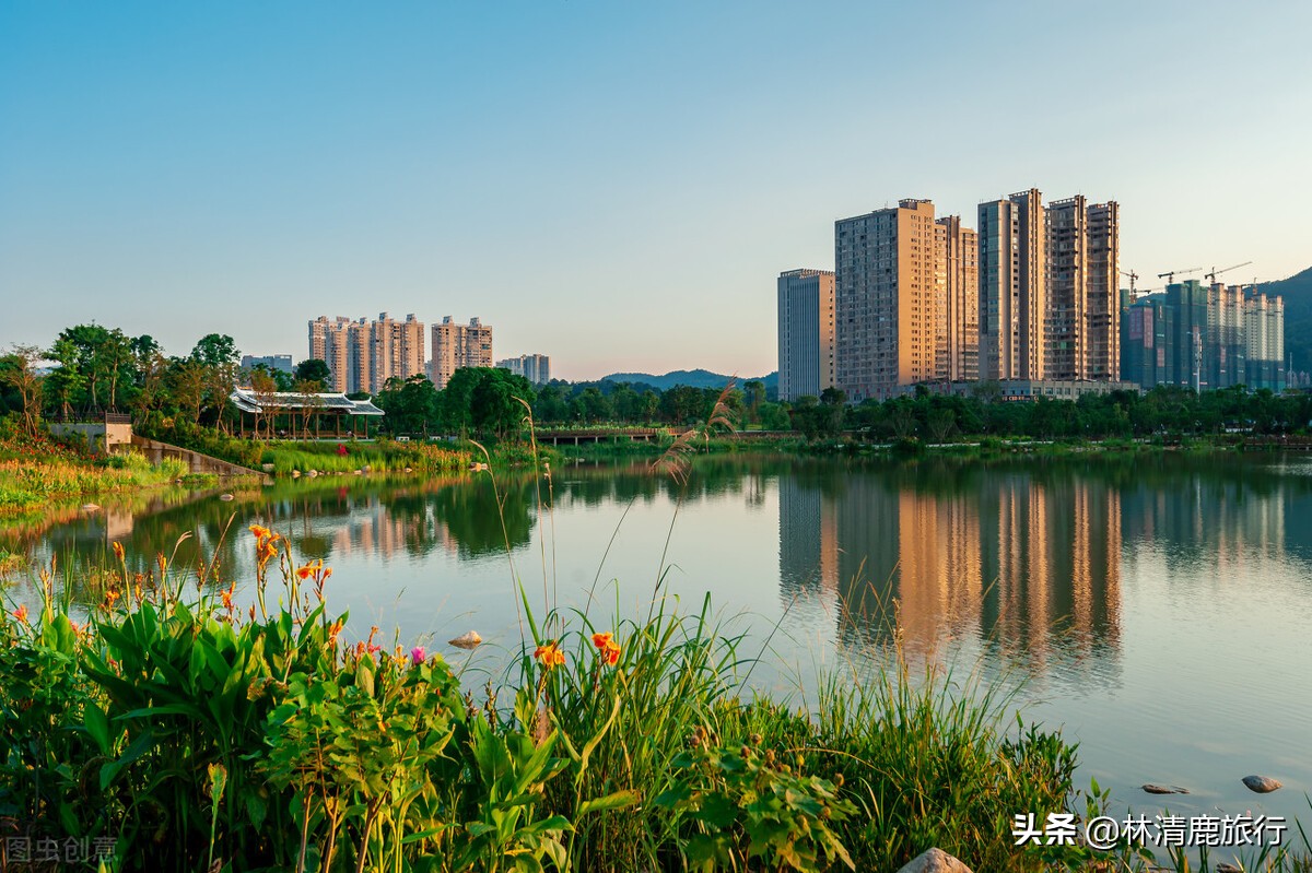 龙岩森林覆盖率最高的地方,福建龙岩森林