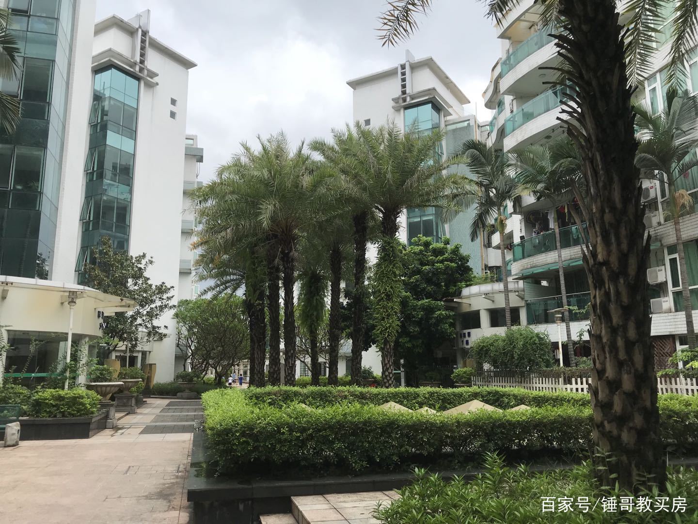 锤哥看楼市琶洲,锤哥说房长沙