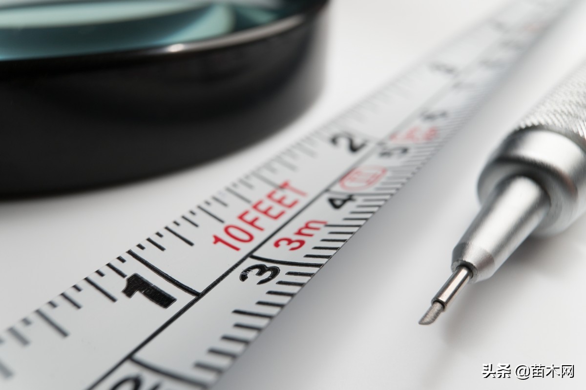 苗木网下载,今日苗木网app下载