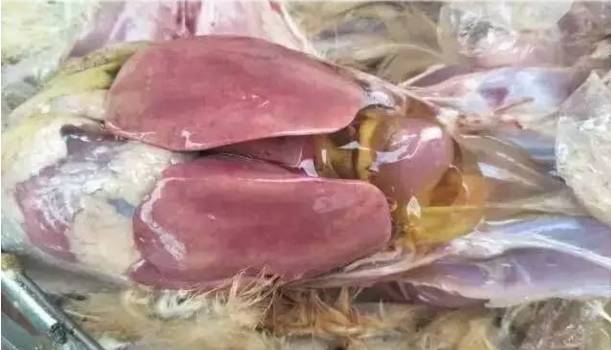 心包积液有药物预防吗,心包积液需要抗生素还是抗病毒