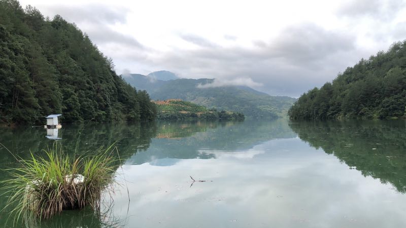 鱼不开口上钩怎么办,夏季有鱼不开口应该怎么钓