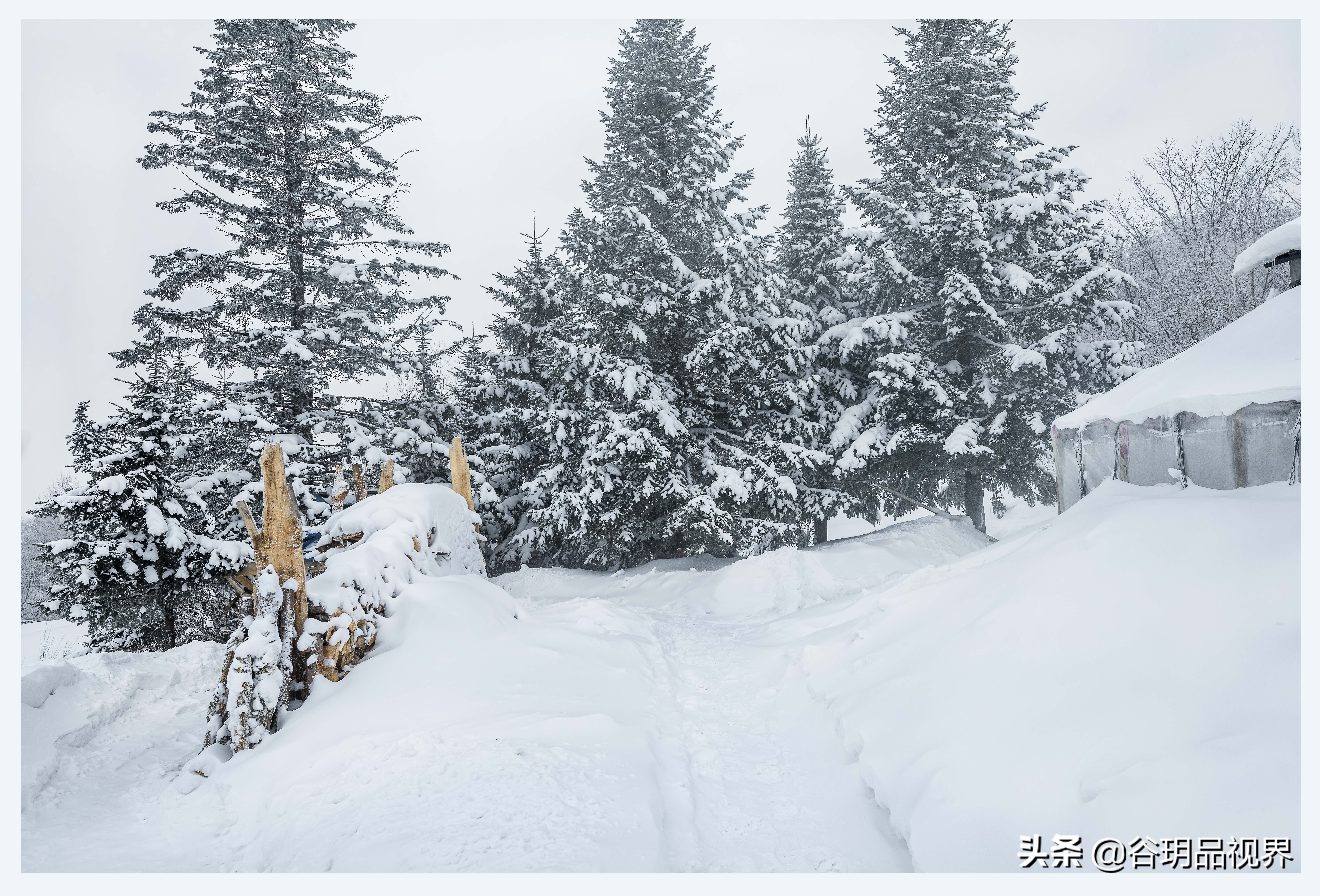 近距离拍摄雾凇视频,林海雪原拍摄照片
