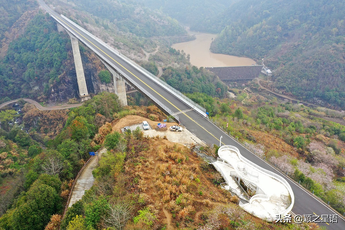 早樱烂漫,看樱花的地方樱花谷