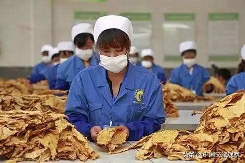 云南又在央视火了！这份云南2019新简历要藏不住了！